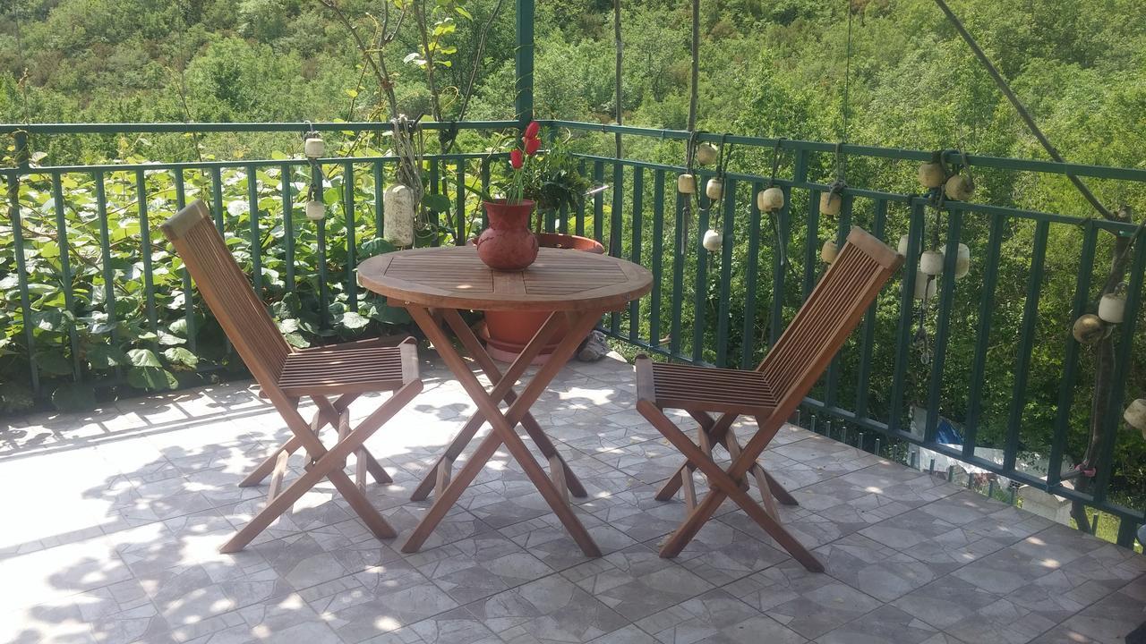 Danijela Apartmani Čanj Eksteriør billede