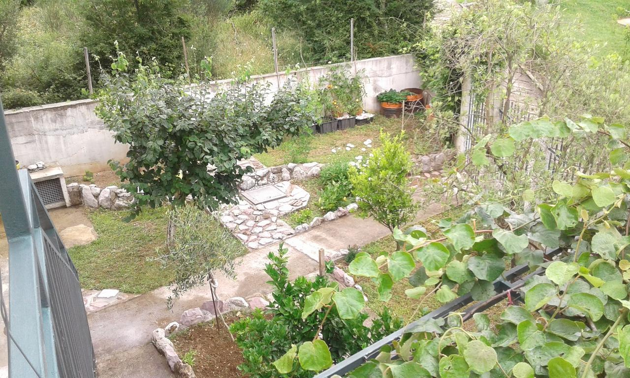Danijela Apartmani Čanj Eksteriør billede